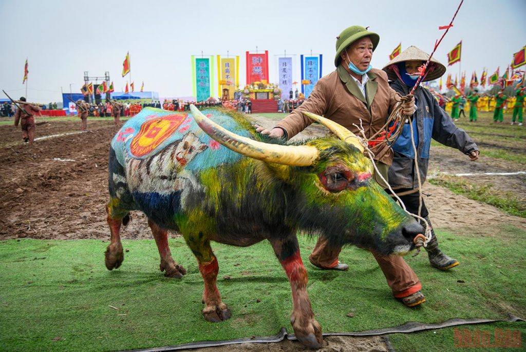 Chủ tịch nước Nguyễn Xuân Phúc xuống đồng cày ruộng tại Lễ Tịch điền Đọi Sơn