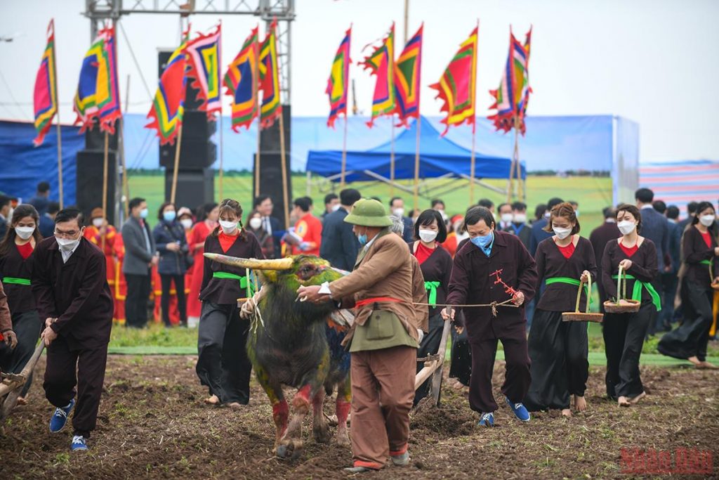 Chủ tịch nước Nguyễn Xuân Phúc xuống đồng cày ruộng tại Lễ Tịch điền Đọi Sơn