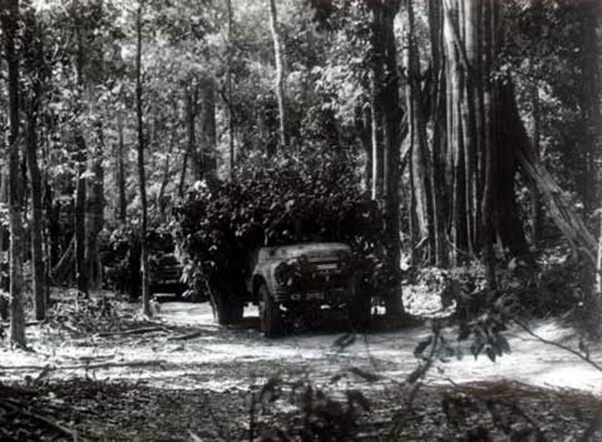 Ngày 19-5-1890: Ngày sinh Chủ tịch Hồ Chí Minh vĩ đại