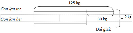 Câu 8