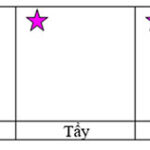 Câu 13