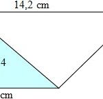 Câu 10