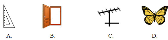 Câu 4