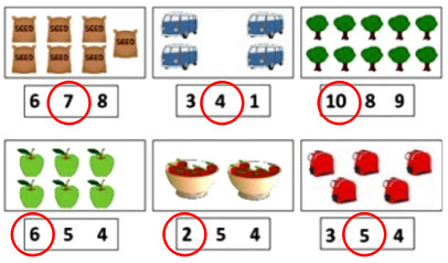 Câu 6