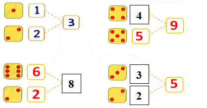 Câu 7